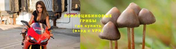 дмт Беломорск