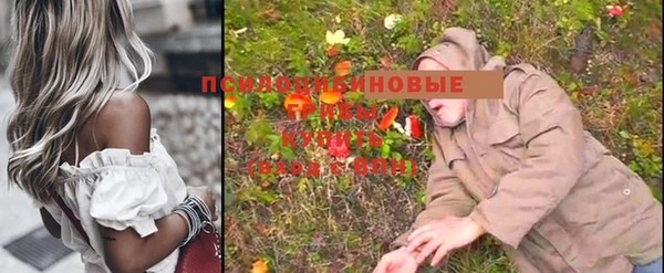 кокс Алзамай