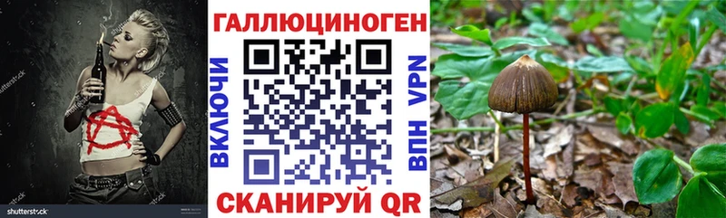 MEGA рабочий сайт  Рыбинск  Псилоцибиновые грибы Psilocybe 